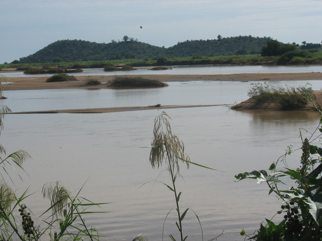 Gongola River