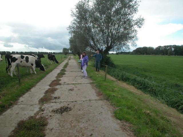 Renate, Dinah & the farmer near N52 E006 / Renate, Dinah und der Bauer nahe des Punktes N52 E006