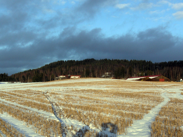 View back towards Wærhaug farm
