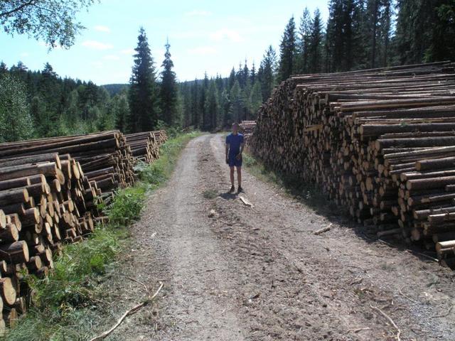 Fredrik between a pair of lumber stacks