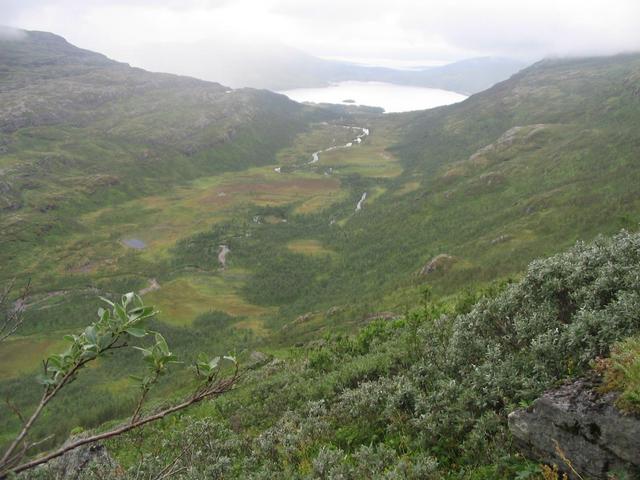 The valley Synnerdalen seen from the confluence point.
