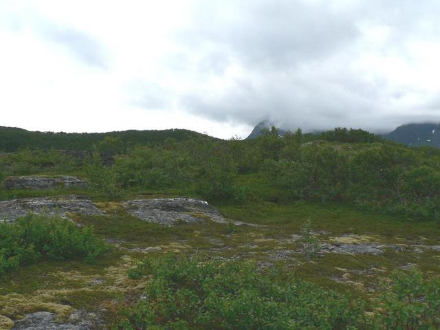 view south