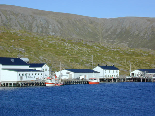 The harbour area