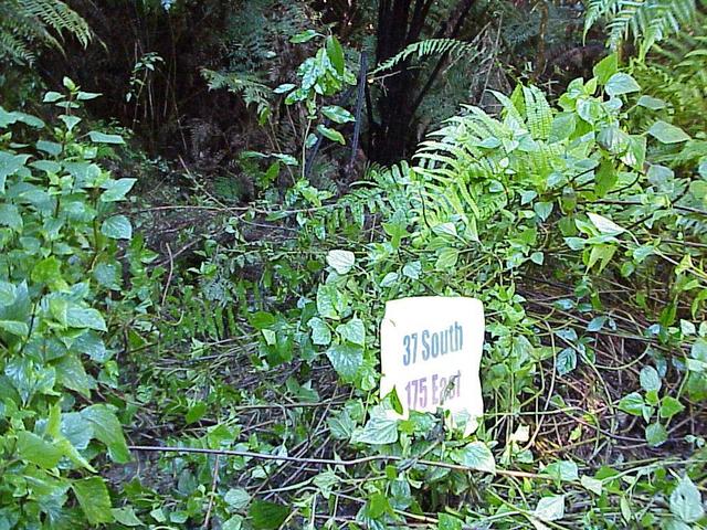 Site of the confluence, in muddy clearing at the bottom of a ravine.