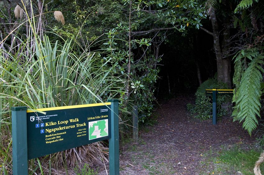 Entrance to the beautiful Kaimanawa Forest Park, at the end of Kiko Road.