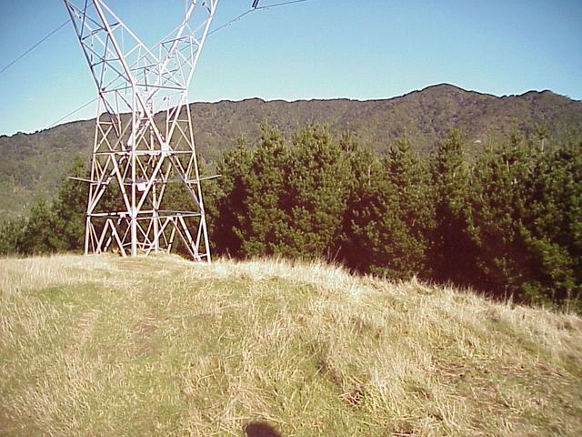 The confluence is approximately 40 meters beyond this transmission tower.
