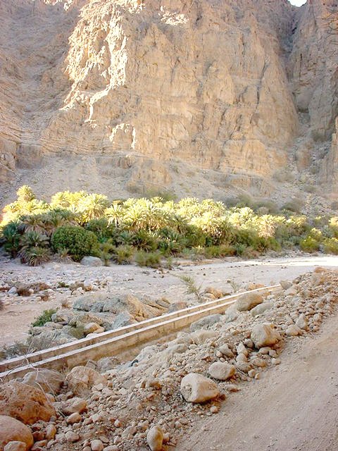 Palms under the sheer cliffs. Also: A Falaj, a water channel.