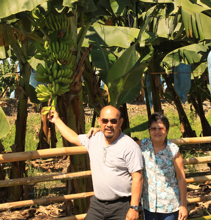 Touching the Cavendish variety banana at TADELCO, the biggest banana plantation owned by Floreindo