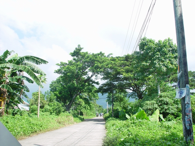 The road leading to the subdivision.