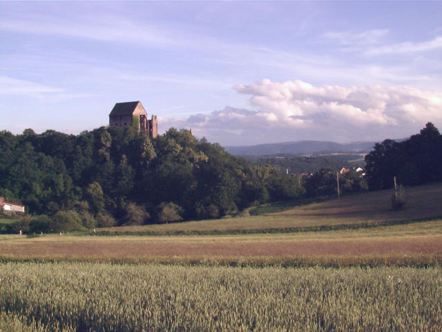 Swiny castle - zamek w Swinach