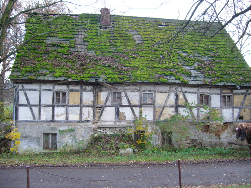 Old half-timbered building - Stary budynek w konstrukcji szachulcowej (tzw. "Pruski mur") 