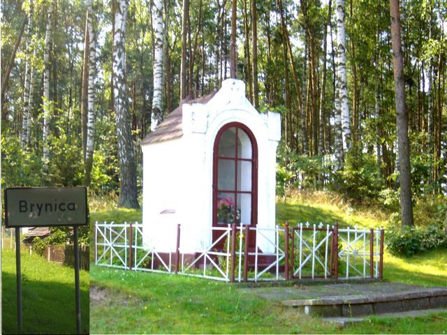 Small chapel in Brynica village - Kapliczka we wsi Brynica