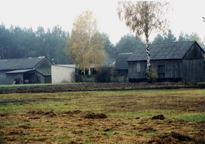 Borowa village