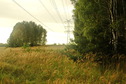#7: Electric power line