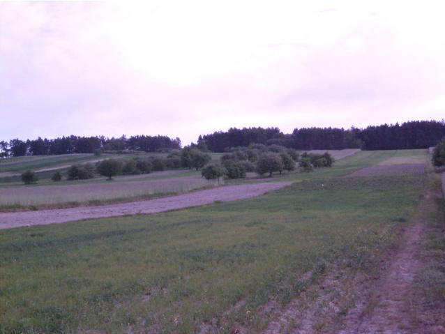 View north east - Widok na polnocny wschod