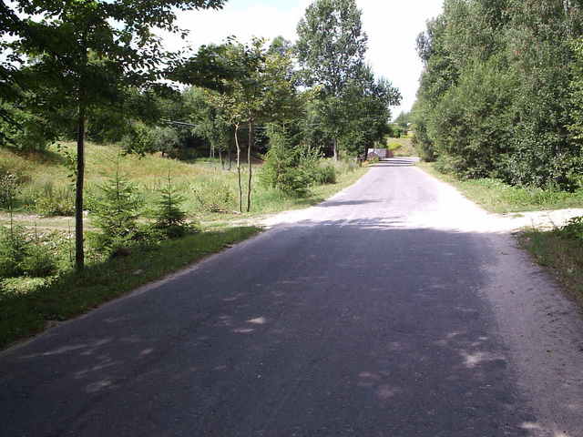 Droga przez wieś z wjazdem do gospodarstwa. / village road with farm entry