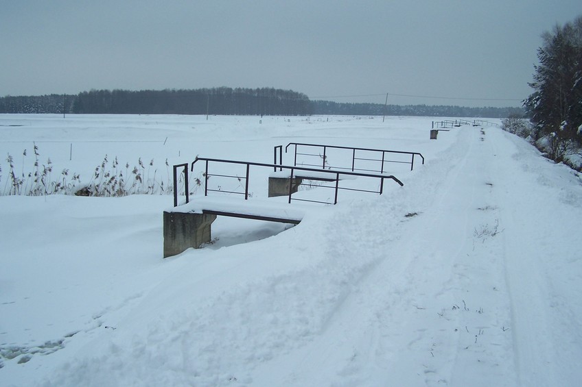 A levee along fish ponds