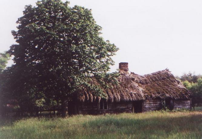 Old cottage / stara chata