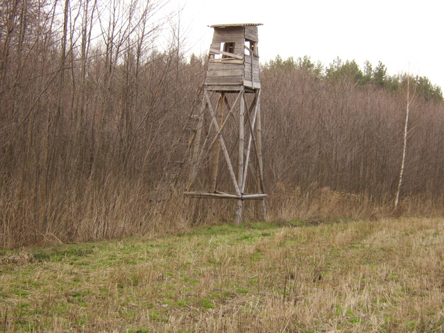 Hunter's tower / Ambona myśliwska