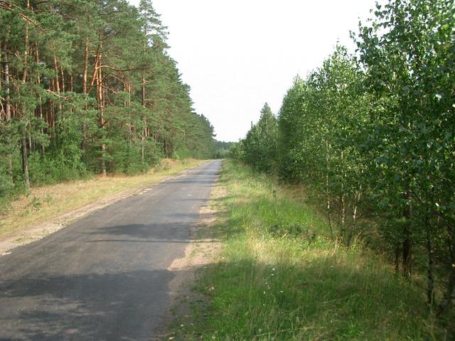View South East - The Road to Kuznica Zelichowska