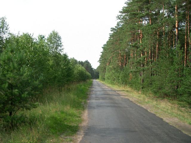 View North West - The Road to Przesieki
