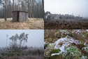 #9: Nearby shed and winter landscapes