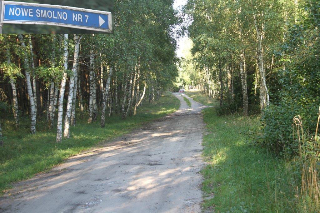 Forest road - Lęśna droga