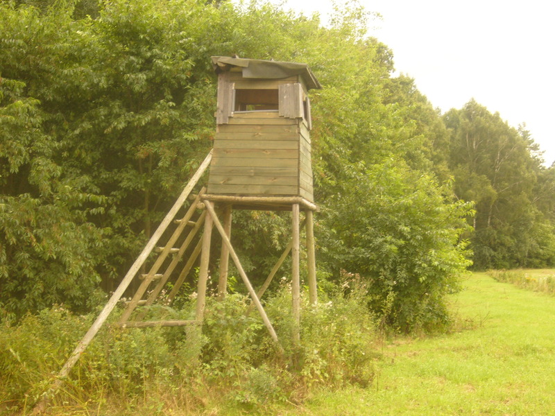 Hunter's tower - Ambona myśliwska