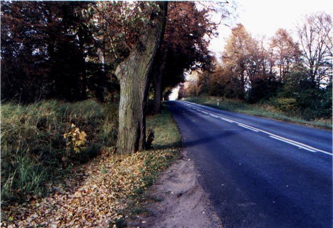 North direction / road to Malbork