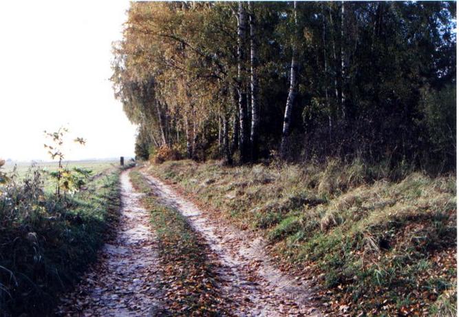 Lateral road to the CP