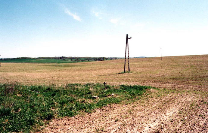a confluence next to electricity relay pole