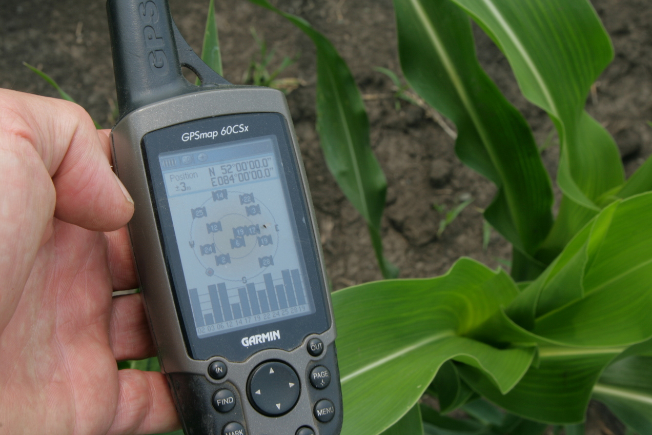 GPS within maize