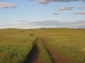 #7: Steppe road; 500m from the point
