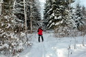 #9: On ski track/На лыжне