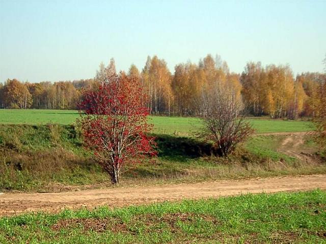 Autumn view in Tatarstan (Осенний пейзаж под Казанью)