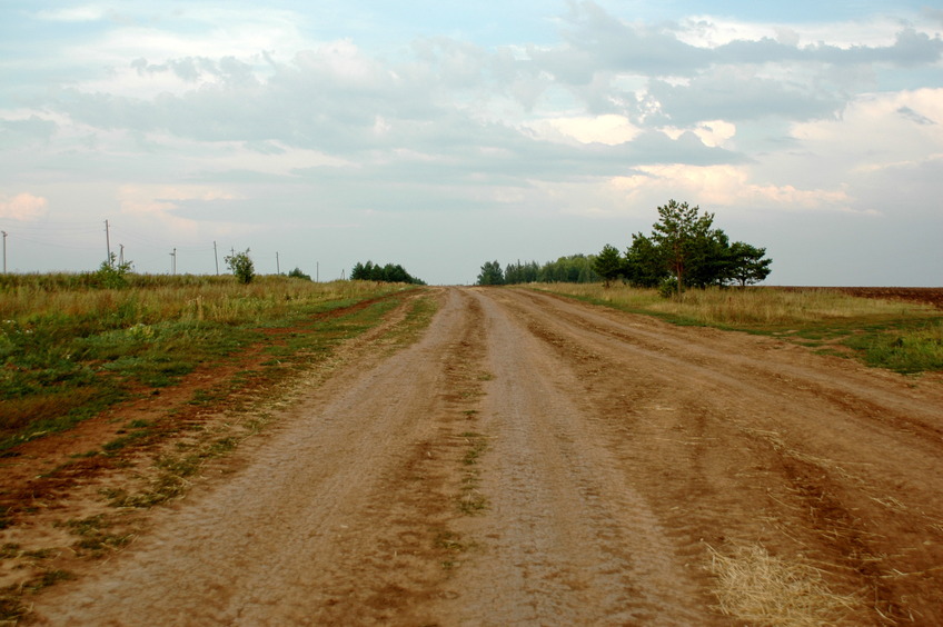 Dirt field road / Полевая дорога