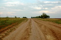#8: Dirt field road / Полевая дорога