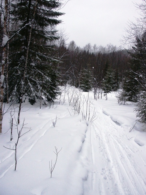 Ski-track
