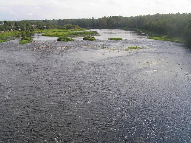 River Luga at Sabsk