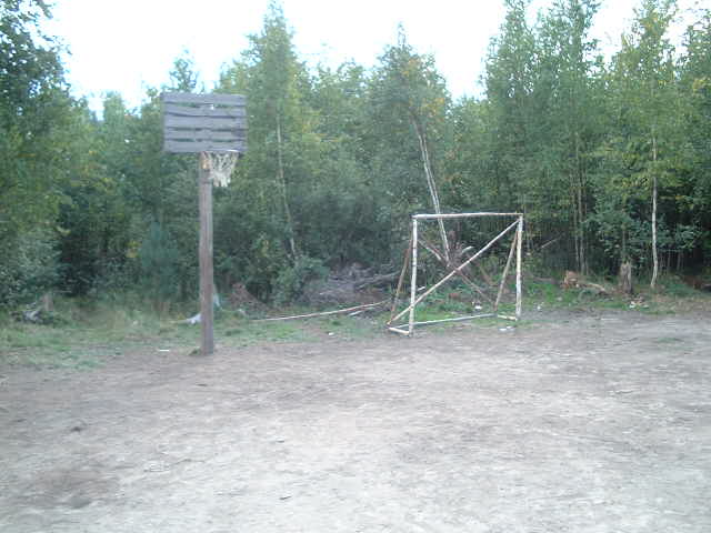 Sadovostvo Mshinskaya's Sport facilities