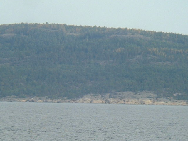 Densely wooded Gogland Island seen from the Confluence