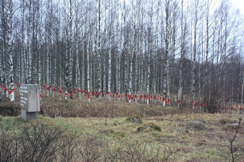 Memorial birches grove / Березовая роща