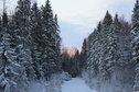 #10: Winter came in Tikhvin district / В Тихвинский район пришла зима