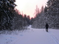 #8: Early morning. Making ski-track/Тропежка на рассвете