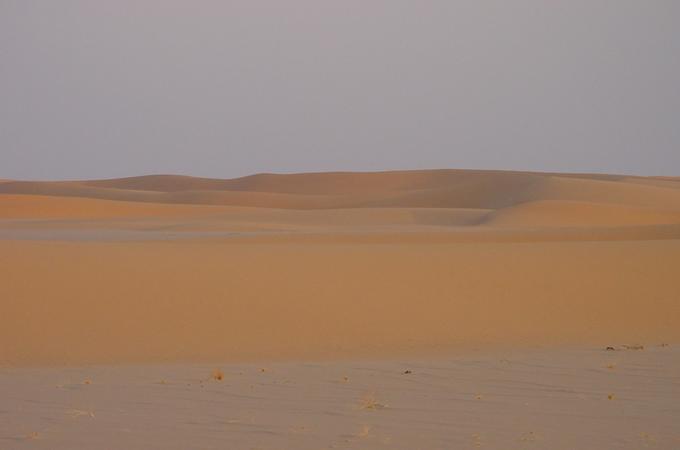 The al-Biyād dunes