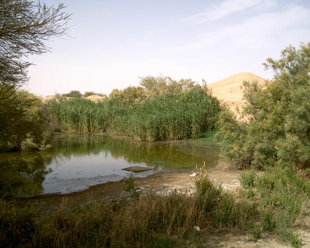Water ponds at the farming area