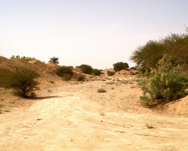 Dry valley (wādiy)