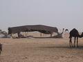 #7: The traditional Bedouin tent, made out of sheep wool.