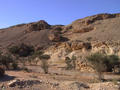 #5: Wādī 10 km west of the confluence point
