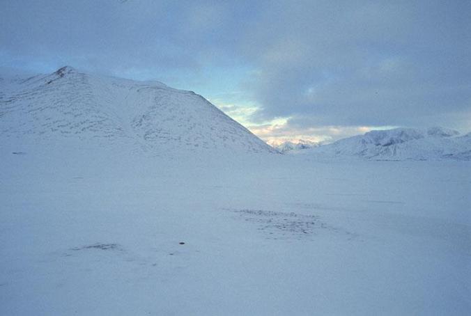 view to the north towards Wijdefjorden